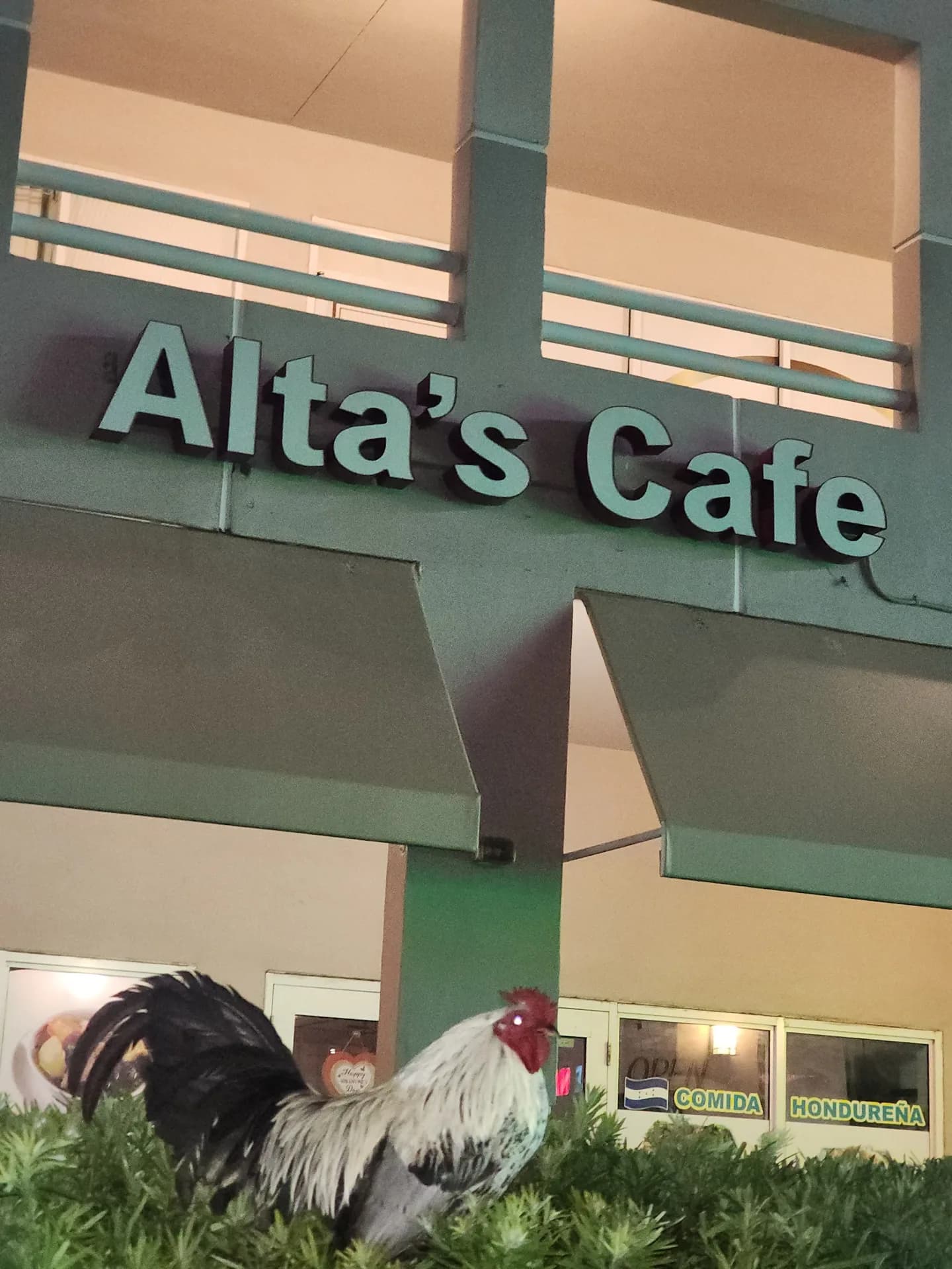 Alta's Café green storefront sign with the rooster out front, Little Havana